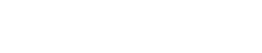 FenixBet logo